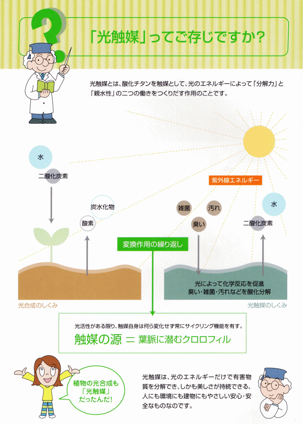 ���G�}�@�`�^���K�[�h�Q�P