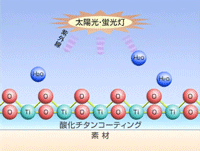 ���e����p�̃��J�j�Y��